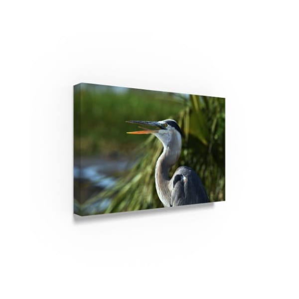 Robert Michaud 'Great Blue Heron' Canvas Art,22x32